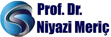 Prof. Dr. Niyazi Meriç